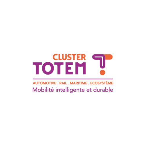 Cluster TOTEM